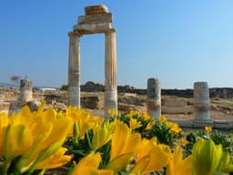 Pamukkale & Hierapolis Yerel Tur